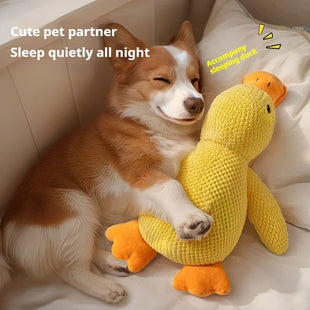 Interactive Dog Squeaky Toy