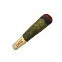 Interactive Chew & Play Dog Toy