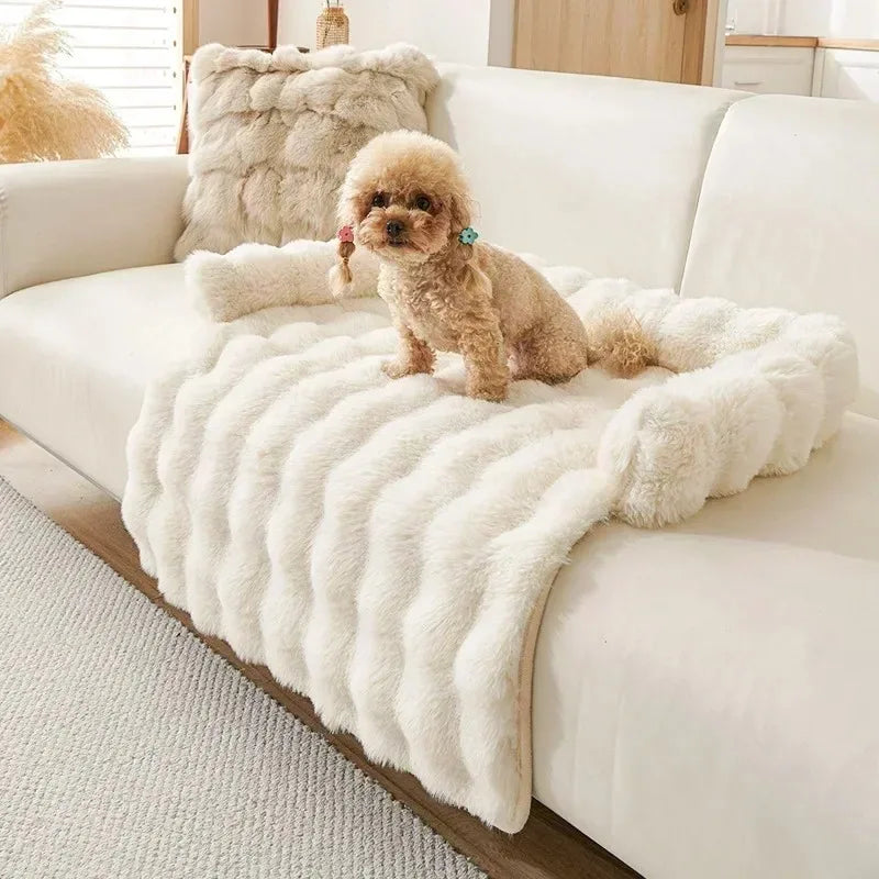 Fluffy Bed for Dogs on Couch