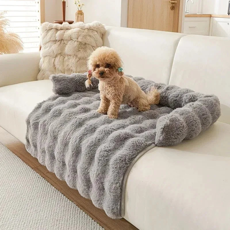 Fluffy Bed for Dogs on Couch