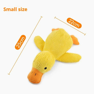 Interactive Dog Squeaky Toy