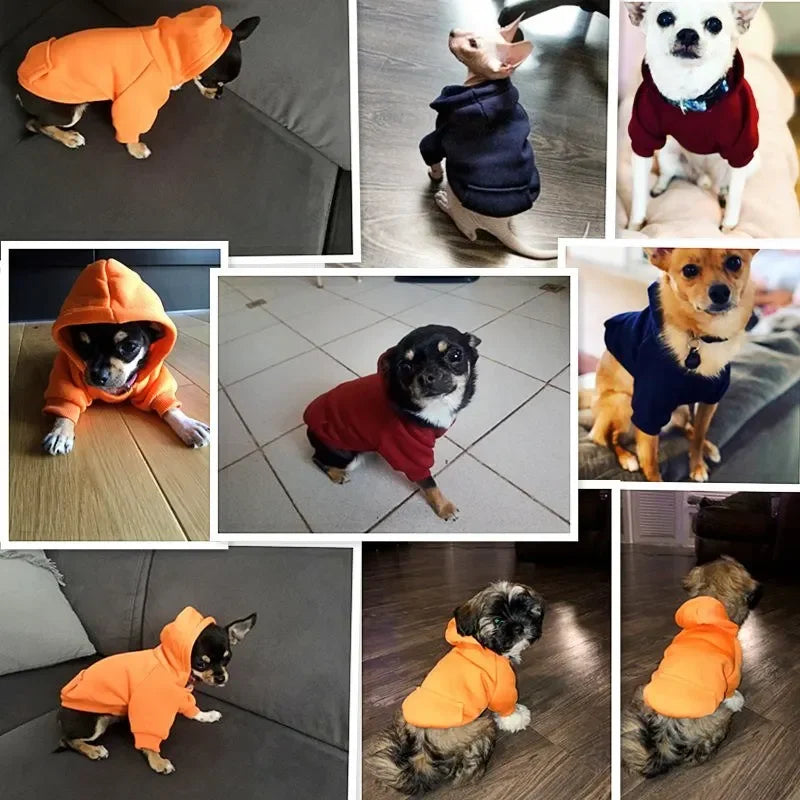 Dog Cute Hoodie