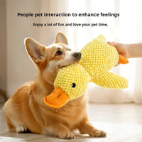 Interactive Dog Squeaky Toy