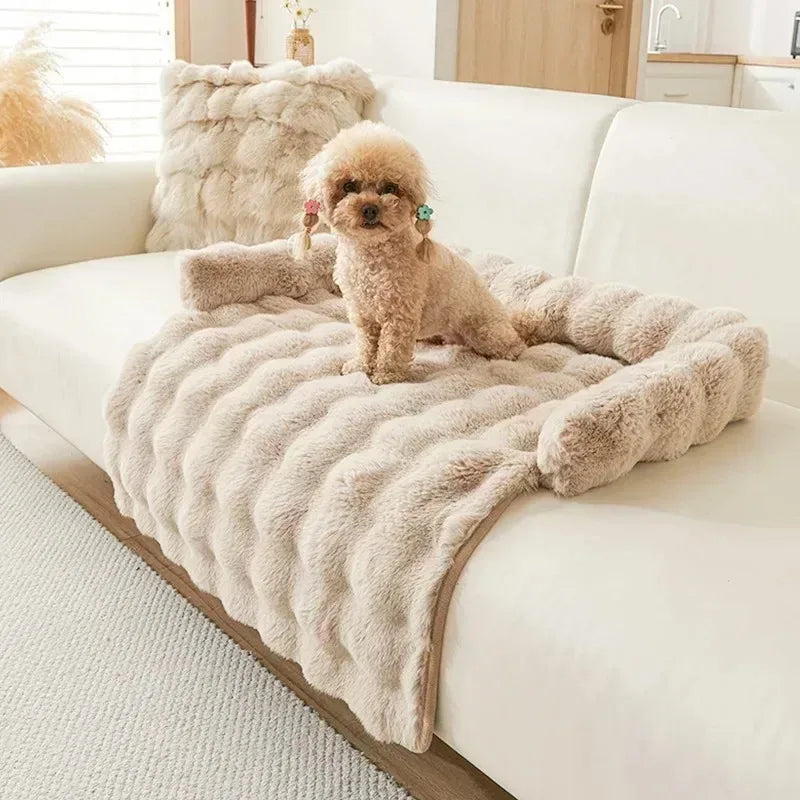 Fluffy Bed for Dogs on Couch