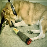 Interactive Chew & Play Dog Toy