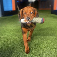 Interactive Chew & Play Dog Toy