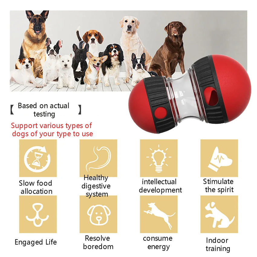 Dog Puzzle Toy – Increase Intelligence