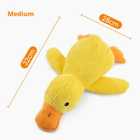 Interactive Dog Squeaky Toy