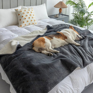 Premium Waterproof Cat & Dog Blanket