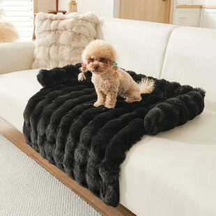 Fluffy Bed for Dogs on Couch