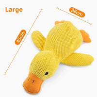 Interactive Dog Squeaky Toy