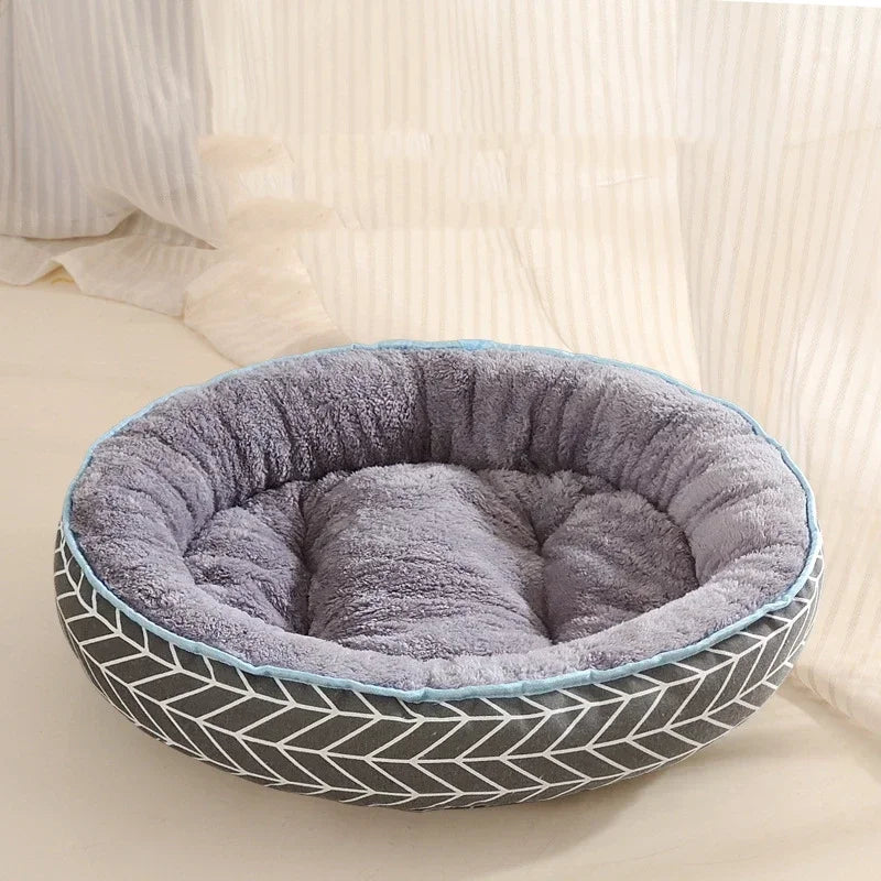 Comfy Cushion Pet Bed